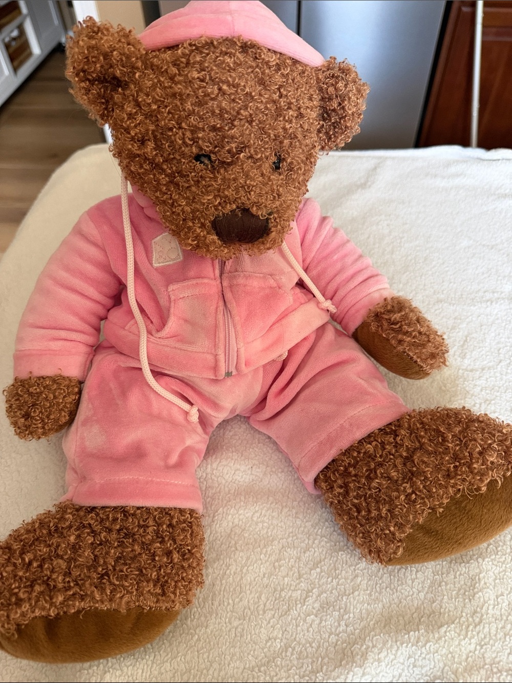 New York & Co collectible Brown Teddy Bear in Pink Hoodie Outfit like new.
